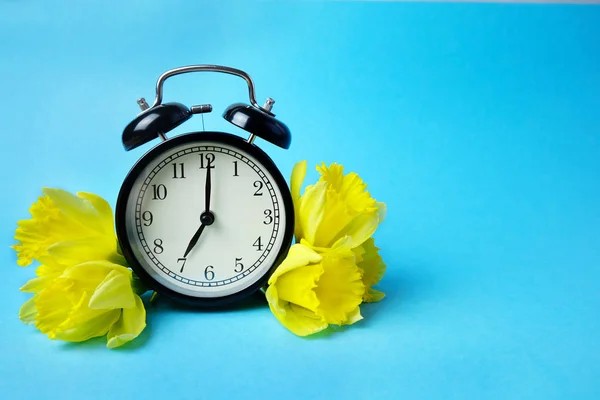 Réveil vintage noir avec jonquilles jaunes fleuries sur fond bleu. Au printemps. Photo pour cartes postales. Espace de copie — Photo