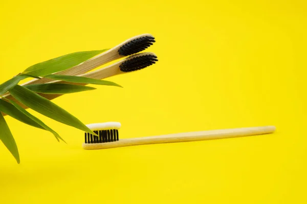 Bamboo natural toothbrushes with natural bristles and toothpaste on a yellow background. Wooden toothbrushes with bamboo leaves. Zero waste. Caring for the environment. Copy space — Stock Photo, Image