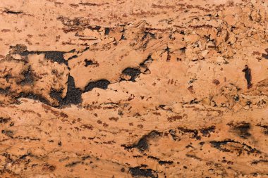 Mantar Tahta Yüzey, Doğa Ürünleri Endüstrisinin Kapalı Arkaplan ve Dokusu