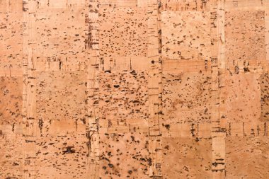 Mantar Tahta Yüzey, Doğa Ürünleri Endüstrisinin Kapalı Arkaplan ve Dokusu