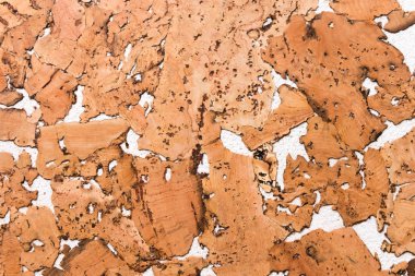 Mantar Tahta Yüzey, Doğa Ürünleri Endüstrisinin Kapalı Arkaplan ve Dokusu