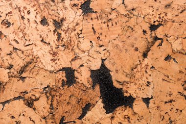 Mantar Tahta Yüzey, Doğa Ürünleri Endüstrisinin Kapalı Arkaplan ve Dokusu