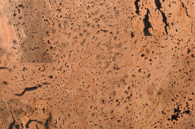 Mantar Tahta Yüzey, Doğa Ürünleri Endüstrisinin Kapalı Arkaplan ve Dokusu