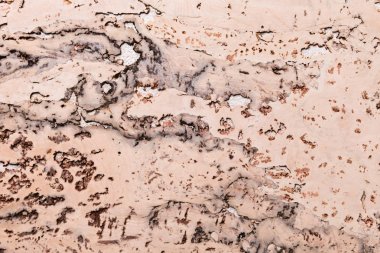 Mantar Tahta Yüzey, Doğa Ürünleri Endüstrisinin Kapalı Arkaplan ve Dokusu