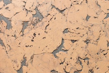 Mantar Tahta Yüzey, Doğa Ürünleri Endüstrisinin Kapalı Arkaplan ve Dokusu