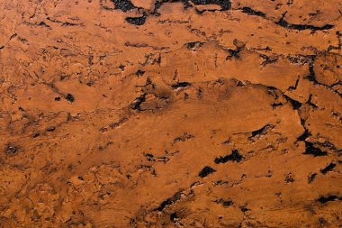 Mantar Tahta Yüzey, Doğa Ürünleri Endüstrisinin Kapalı Arkaplan ve Dokusu