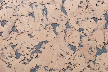 Mantar Tahta Yüzey, Doğa Ürünleri Endüstrisinin Kapalı Arkaplan ve Dokusu