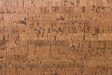 Mantar Tahta Yüzey, Doğa Ürünleri Endüstrisinin Kapalı Arkaplan ve Dokusu