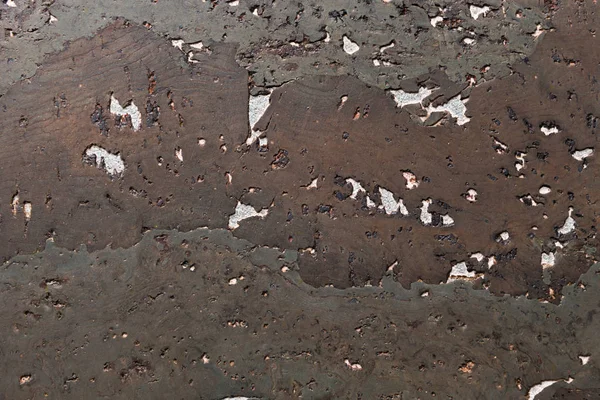 Mantar Tahta Yüzey, Doğa Ürünleri Endüstrisinin Kapalı Arkaplan ve Dokusu — Stok fotoğraf