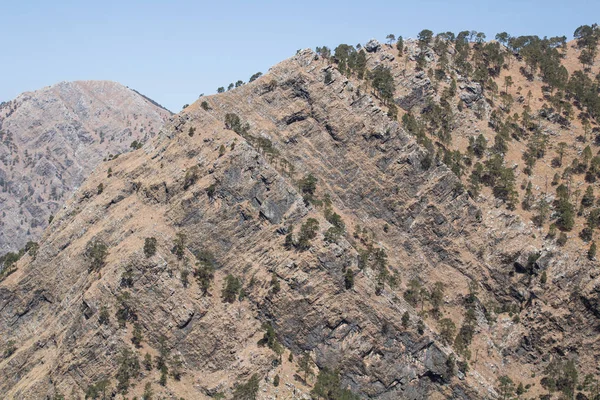 Hermosa montaña rocosa con rayas de helechos en ella. Concepto nacional geográfico doumentario . —  Fotos de Stock