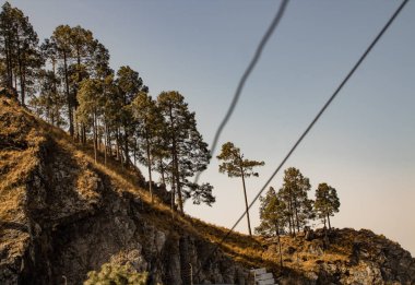 Güneşli bir günde ön planda iki elektrik kablosu olan güzel dağ bitkisi bulanıklaştı. Ormanların yok edilmesi kavramı.