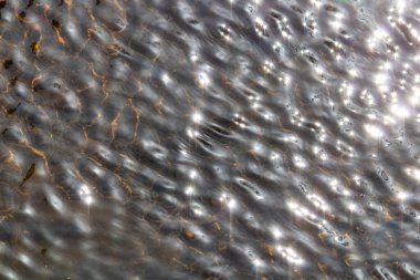 Su yüzeyinden ve görünür dipten güzel ışık yansımaları.