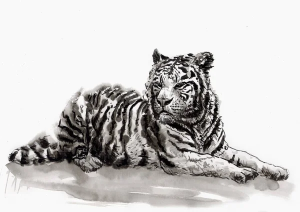 Чернильный Рисунок Крылатом Пухе Тигра — стоковое фото