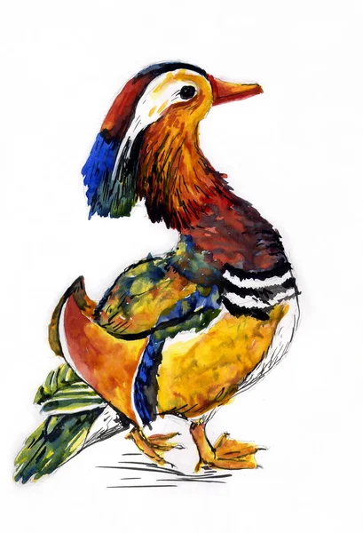 Sanat eseri suluboya 