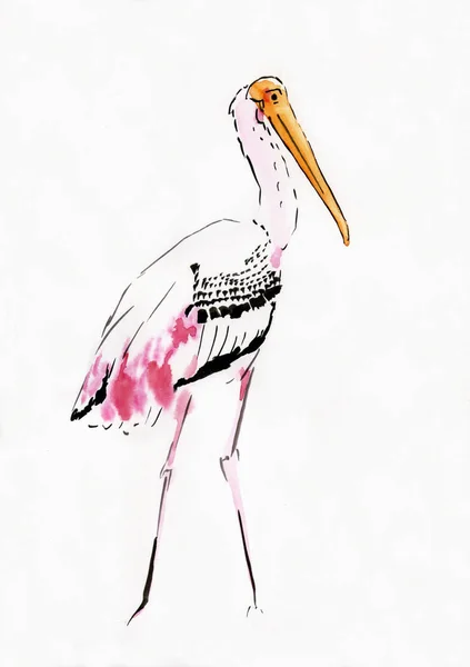 Ink Watercolor Drawing Big Pink Bird — Stock Photo, Image