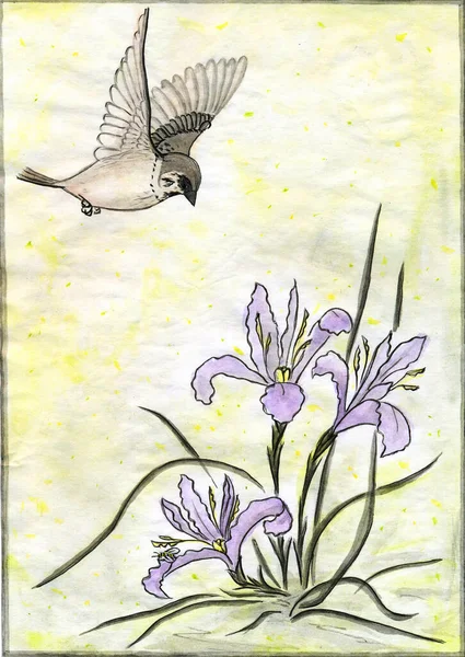 水彩画 爱里斯的麻雀 — 图库照片