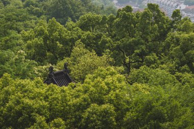 Hangzhou Tapınağı