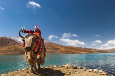 Tibet peyzaj