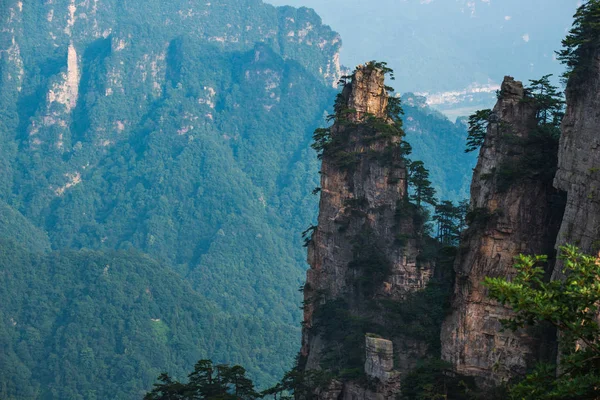 Національний лісовий парк Чжанцзян — стокове фото