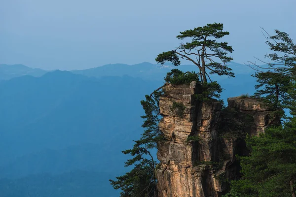 Parque florestal nacional zhangjiajie — Fotografia de Stock