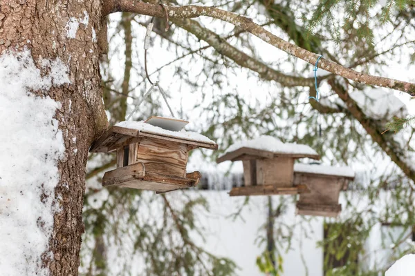 Árbol hecho en casa alimentadores de pájaros de madera en el árbol en invierno, bajo la nieve . — Foto de Stock