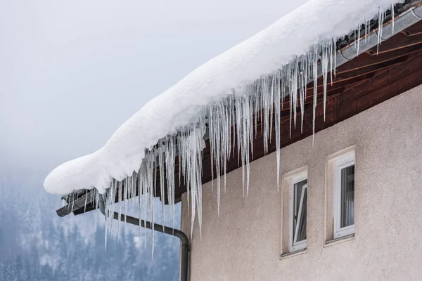 Duże sople i śnieg wiszące nad rynną deszczową na dachu tradycyjnego drewnianego domu w górach zimą mogą być niebezpieczne. Drzewa w tle. — Zdjęcie stockowe