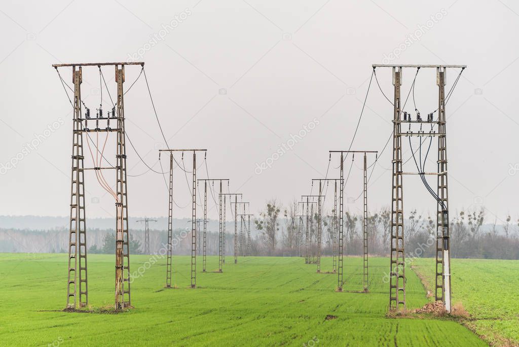 Two-track high voltage overhead power line, power pylon, steel lattice tower standing in the field.