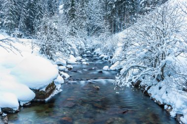 Renkli taşları ve donmuş şelalesi olan küçük bir dağ nehri. Avusturya Alplerinde kış manzarası. 