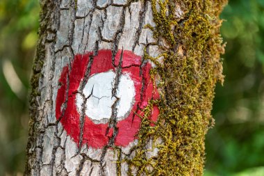 Ağaçtaki yuvarlak beyaz ve kırmızı turist yolu tabelası. Arkaplan olarak yeşil yapraklar.