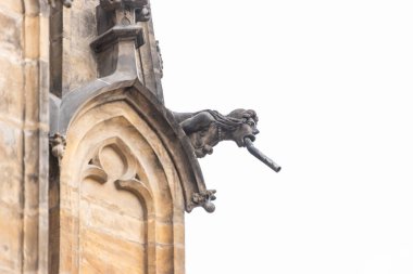 Prag, Çek Cumhuriyeti - 17 Ağustos 2019: Katedral Kilisesi 'nin Kutsal Vitus' undaki heykeltraş manzarasını kapatın. Gargoyle son derece dekoratif bir su borusudur. Suyun binalardan dışarı akmasını sağlar..