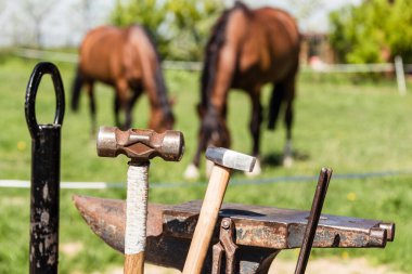 Farrier iş aletleri: örs, kıskaç, çekiç ve at nalı. Arka planda iki at yeşil bir çayırda otluyor..