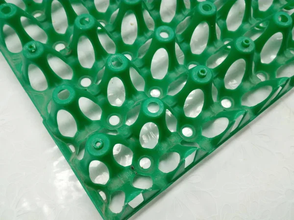 Green Plastic Form Cells Laying Transporting Eggs — Stock Photo, Image