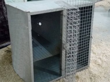 Canlı tavukları taşımak için ağ kapaklı demir kutu.