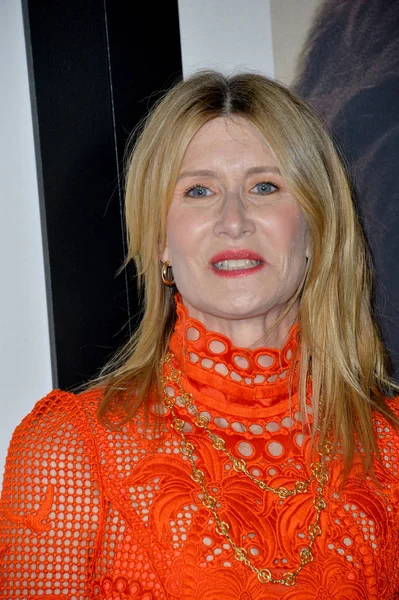 Laura Dern — Photo