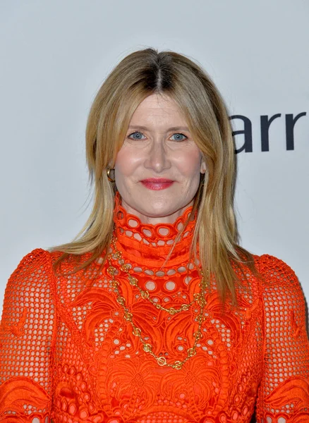 Laura Dern — Foto de Stock