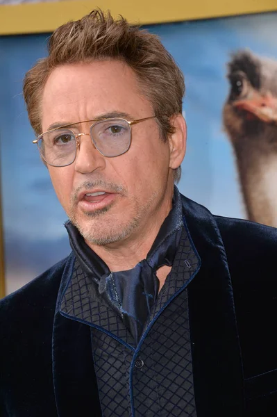 Robert Downey Jr. . — Foto de Stock