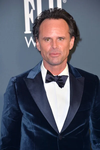 Walton Goggins — Stock Photo, Image