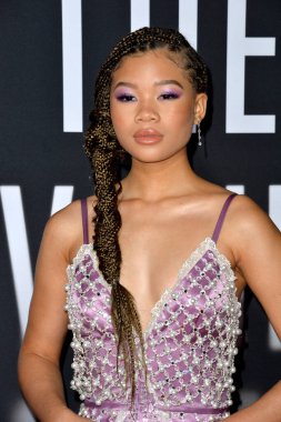 Los Angeles, Ca: 24, 2020: Storm Reid Tcl Çin Tiyatrosu 'nda 