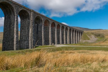 Muhteşem Ribblehead Viaduct Ribble Vadisi 'nin üzerinde duruyor. Yerleşkeyi Carlise demiryoluna taşıyor.