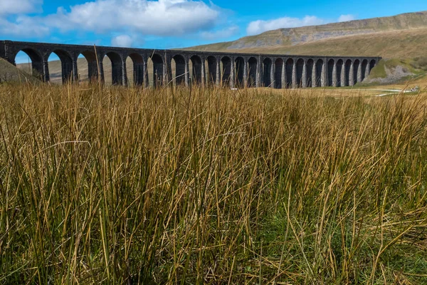 Μια μακρινή βολή μέσα από το λιβάδι γρασίδι της σαρωτικής μεγαλοπρεπή Ribblehead Viaduct στέκεται ψηλά πάνω από το Ribble Valley, Yorkshire, Αγγλία μεταφέρουν το εγκατασταθούν στο σιδηροδρομικό Carlise — Φωτογραφία Αρχείου