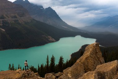 Güneşli yaz gününde vadide çevre dağları ve ormanı çevreleyen Peyto gölünün panoramik manzarası, Banff Ulusal Parkı, Canadian Rockies, Kanada