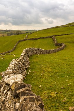 Kuru taş duvarlar, Kuzey Yorkshire, Malham yakınlarındaki Yorkshire bozkırlarındaki uzak tarlalara doğru kıvrılıyor.