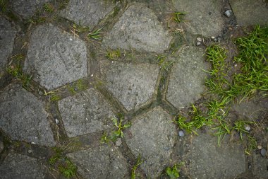 Çim ile büyümüş kaldırım levhaları Doku. Arka plan görüntüsü o