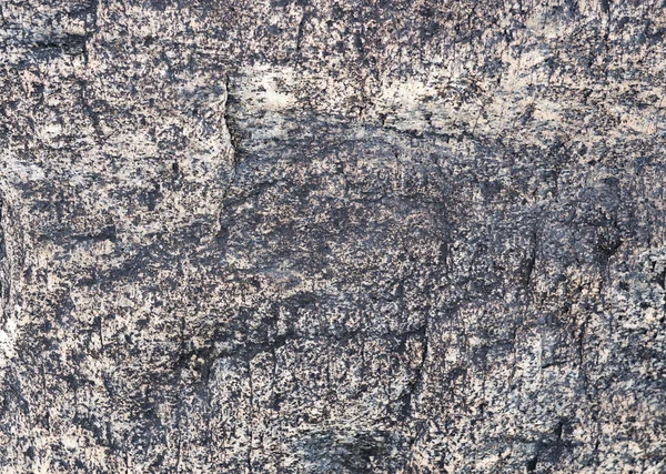 La textura de la piedra cubierta de musgo. Imagen de fondo o — Foto de Stock