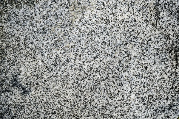Текстура камня заросла мхом. Фоновое изображение o — стоковое фото