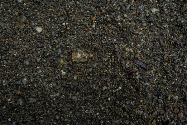 A textura de uma pedra rasa do rio. Imagem de fundo de seixo — Fotografia de Stock