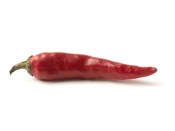 Isolated object: hot red chili peppers — Stock Photo, Image