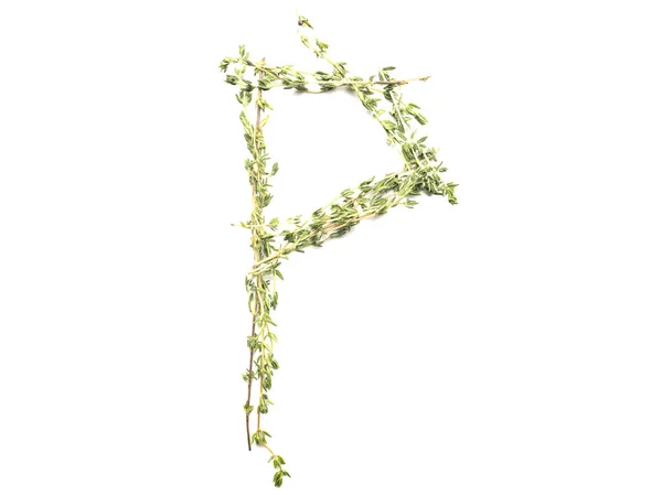 Geïsoleerd object: gespeld met takjes rozemarijneletter van de E — Stockfoto