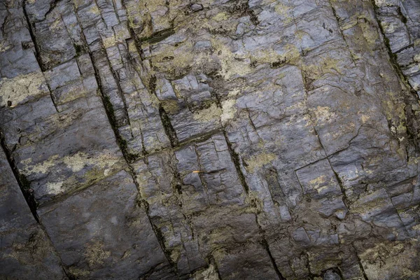 Textura de pedra molhada coberta com musgo. Imagem de fundo do macr — Fotografia de Stock