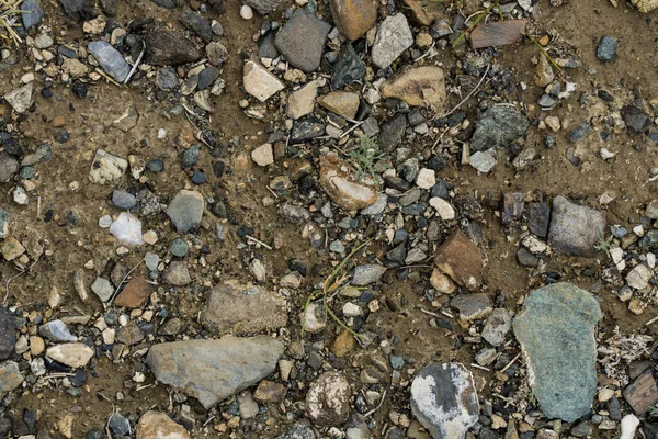 A textura de pedra fina no chão com grama e flores . — Fotografia de Stock